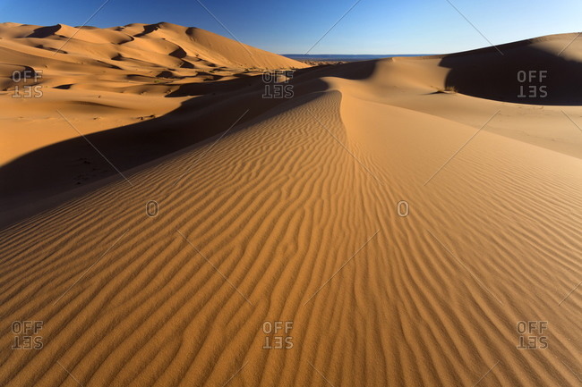 Orange sand dunes and sand ripples