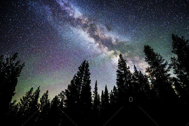 The Milky Way is illuminated over silhouetted trees in Lake Tahoe ...