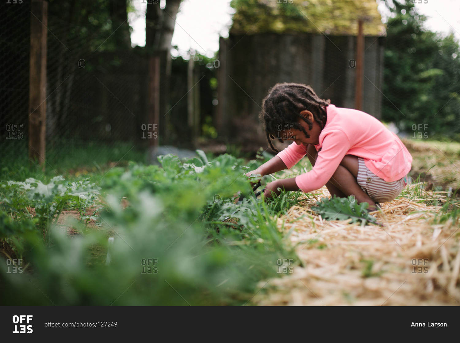 Прощание мона ака сад герл. Garden girl фото. Girl in the Garden. Pretty girl in the Garden. New Life girl in Garden.