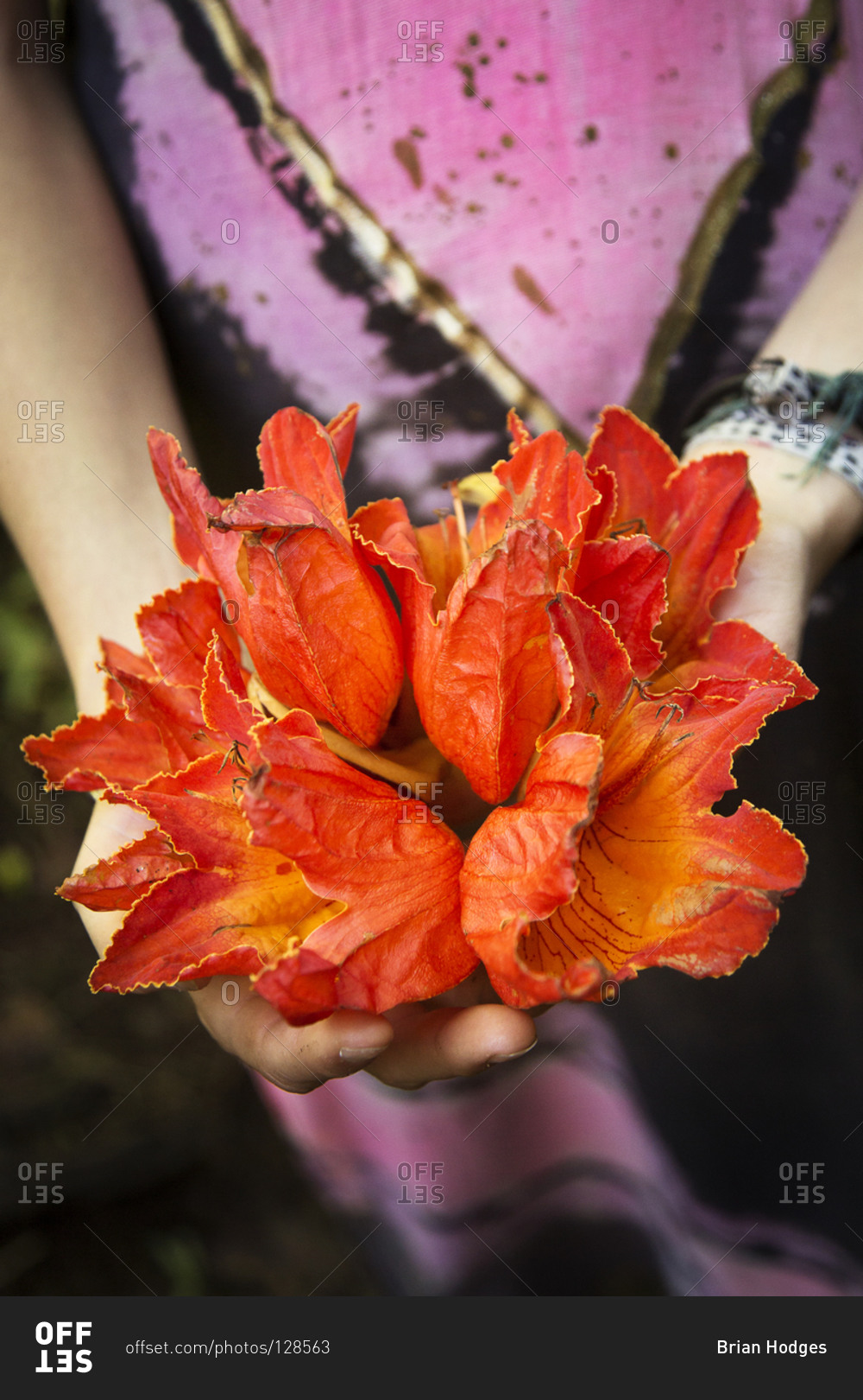 Close up of woman holding exotic flowers