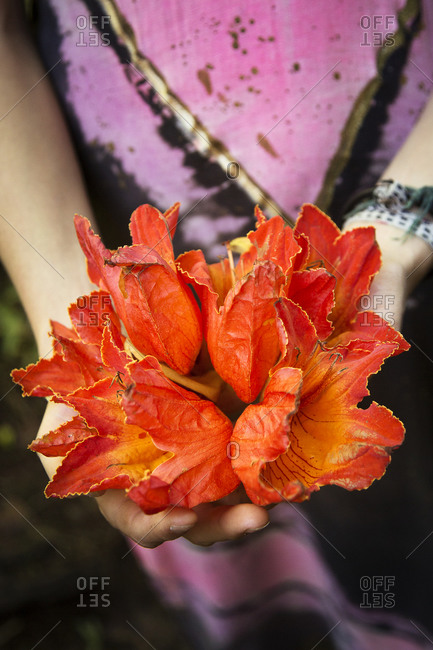 Close up of woman holding exotic flowers