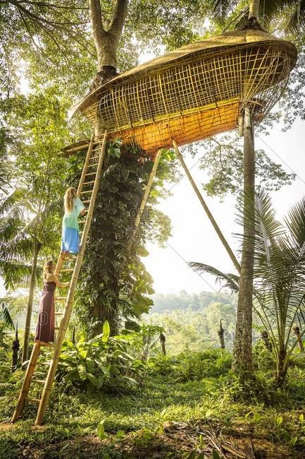 Ubud, Bali, Indonesia - February 4, 2014: Two women climbing up ladder to a bamboo tree house