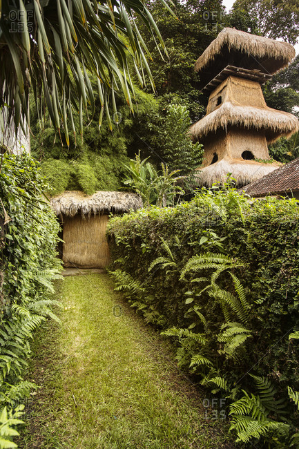 Garden path lined with shrubs in Bali