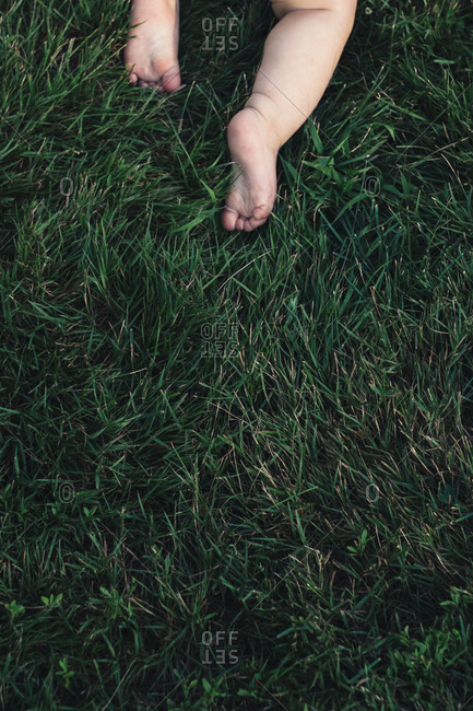 Low section view of baby crawling on the grass