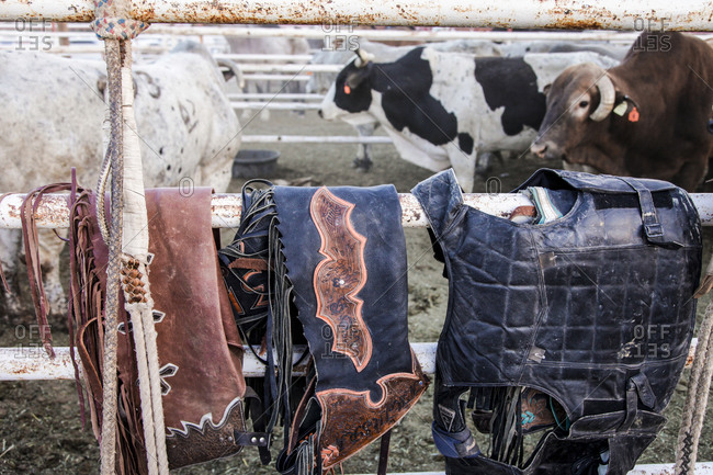 Bull rider protection vests on cattle-pen fence in Truth or Consequences, New Mexico, USA