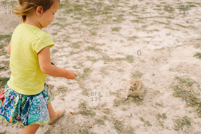 Girl feeding marmot