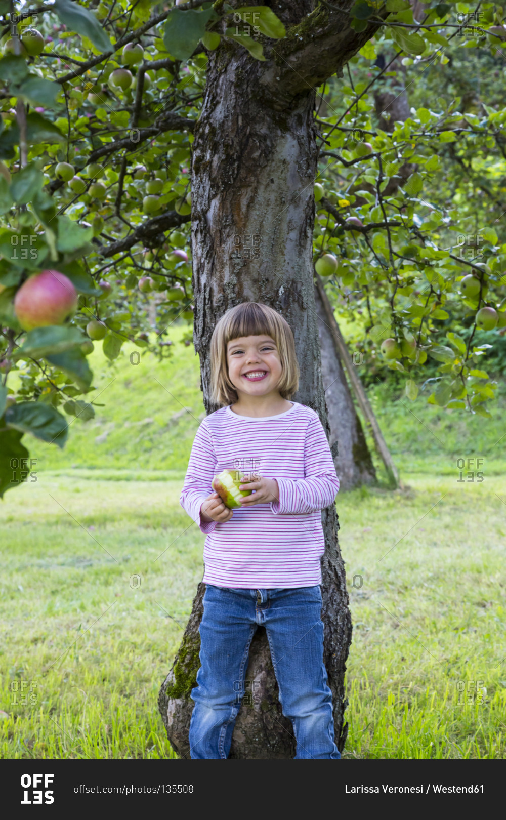 Portrait of little girl leaning on an apple tree