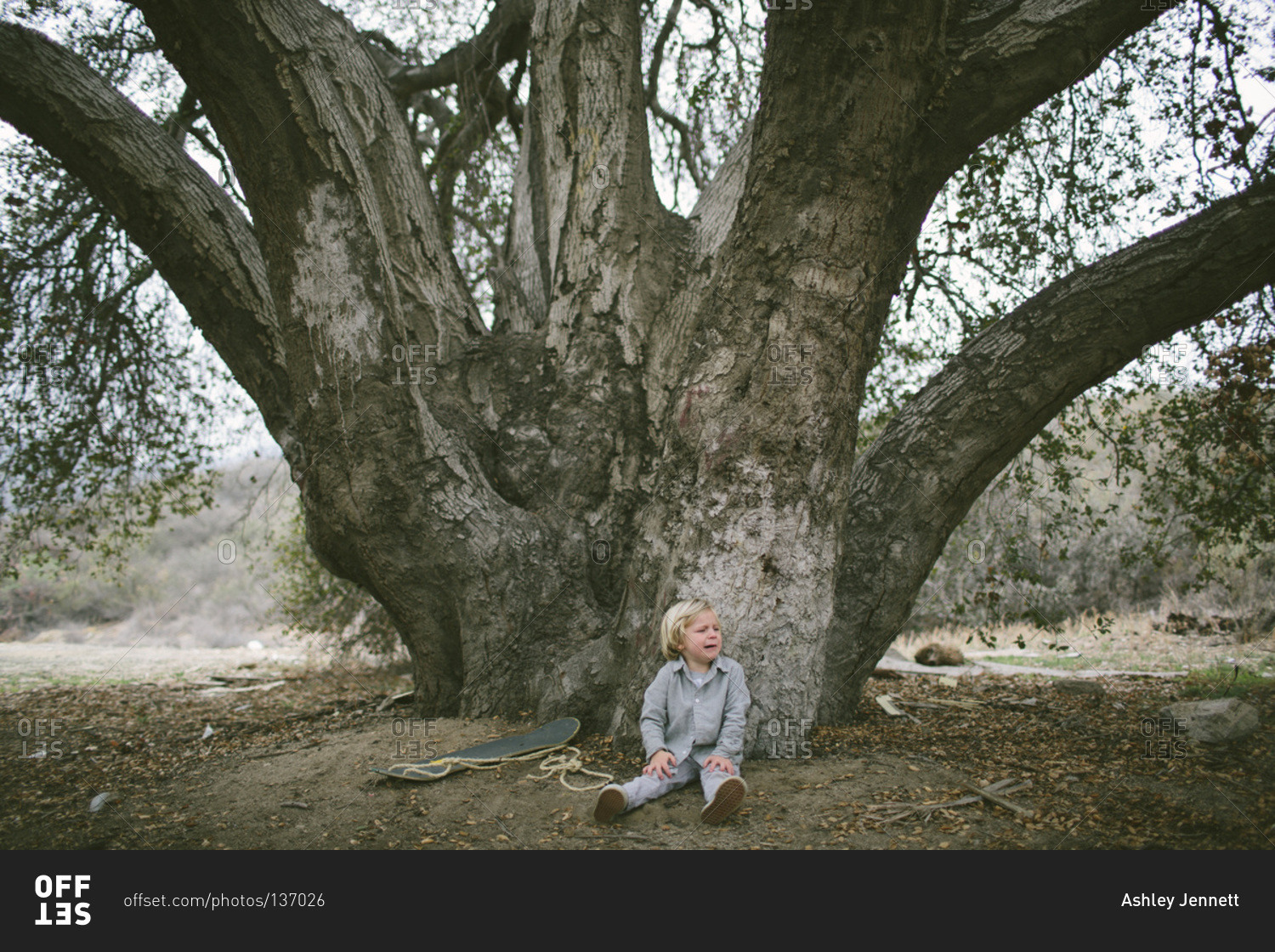 Crying boy sitting under a tree with a fallen swing stock photo - OFFSET