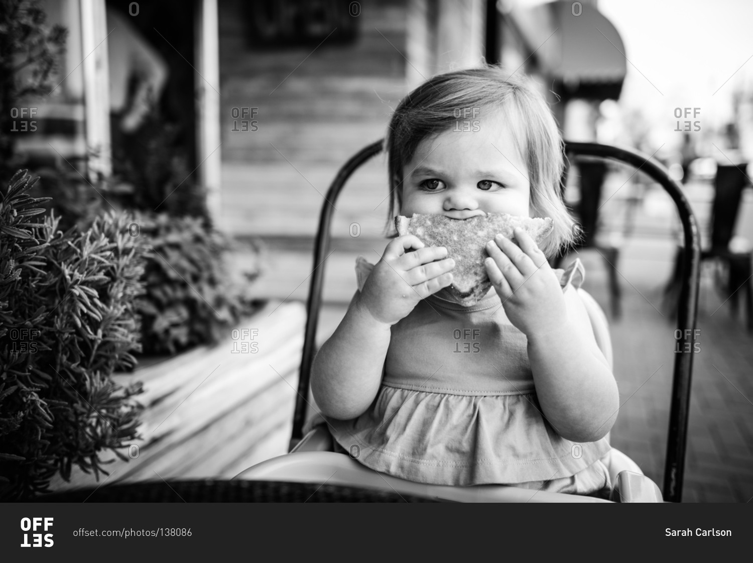 toddler-girl-trying-to-eat-a-sandwich-stock-photo-offset