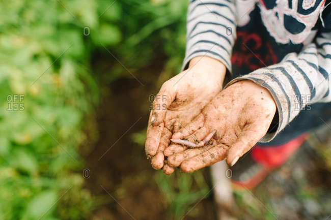 Boy showing earthworm on his palm