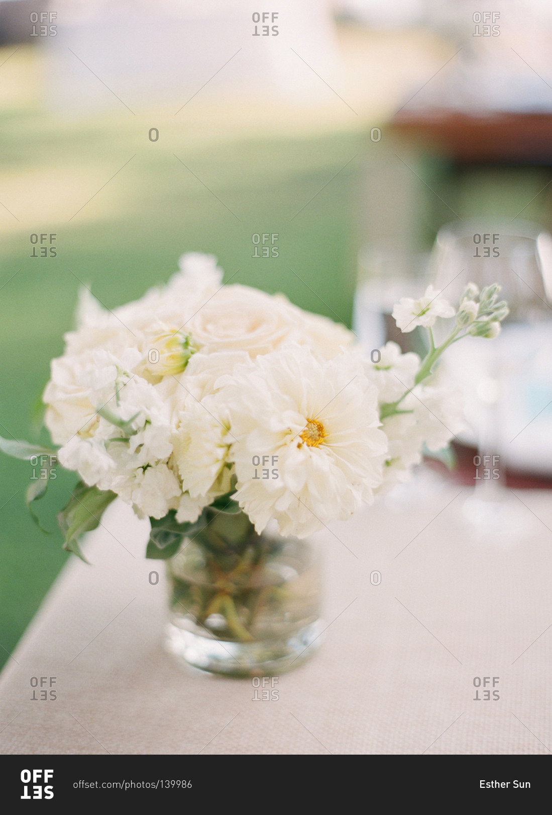 Close up of white flowers in a vase