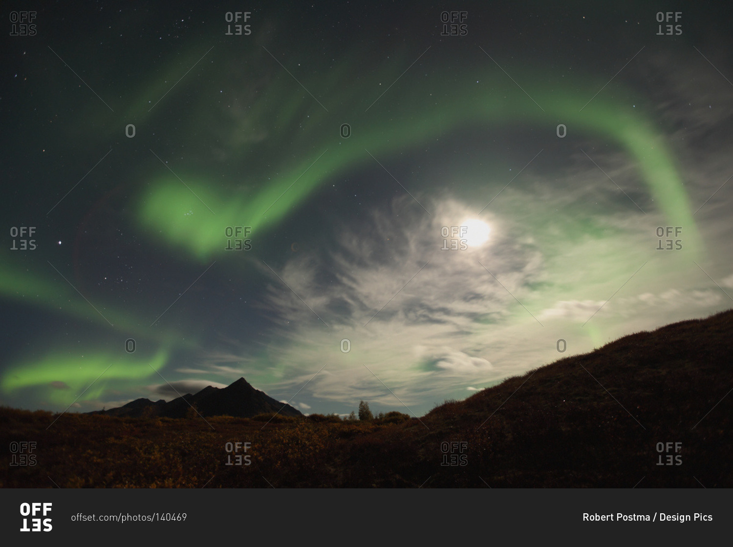 The aurora borealis or northern lights above the Dempster highway with a full moon in the sky, Yukon
