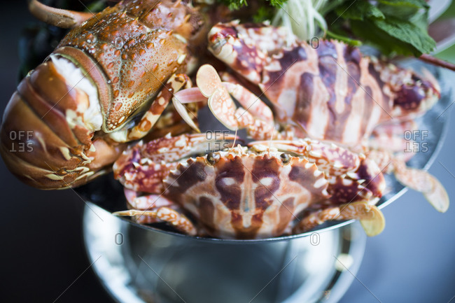 Lobster and crab wait to be cooked in a hot pot