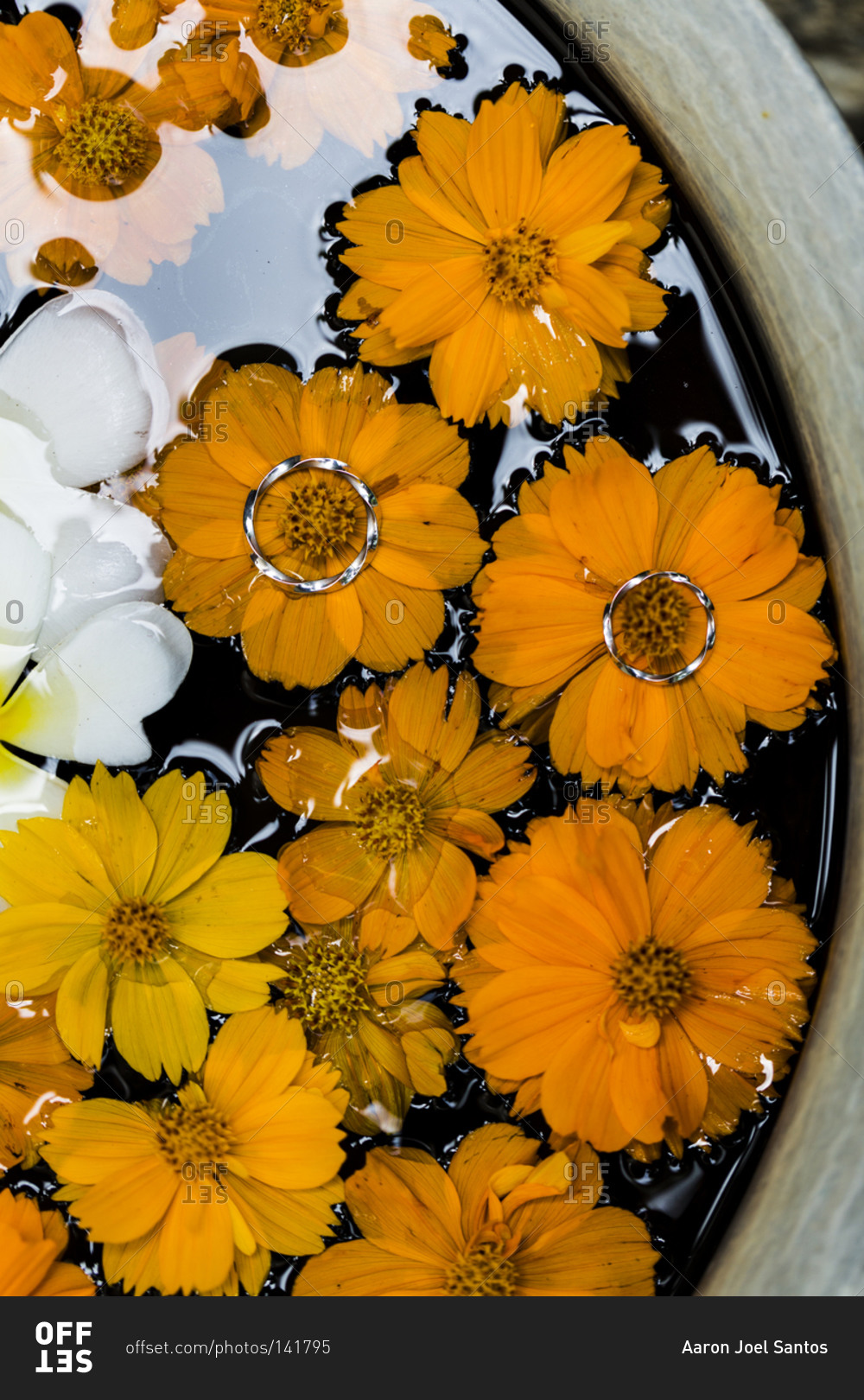 Two wedding rings on yellow flowers floating on water