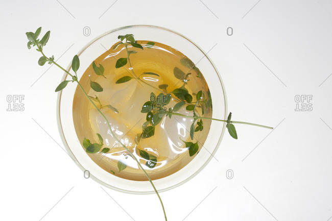 Herbs float in a cocktail