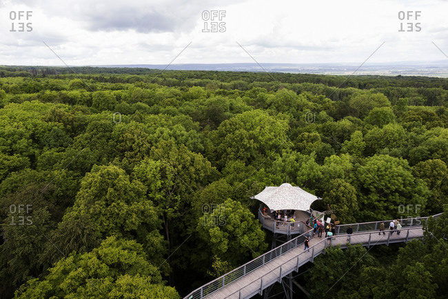 Canopy walkway Hainich, Germany - Offset