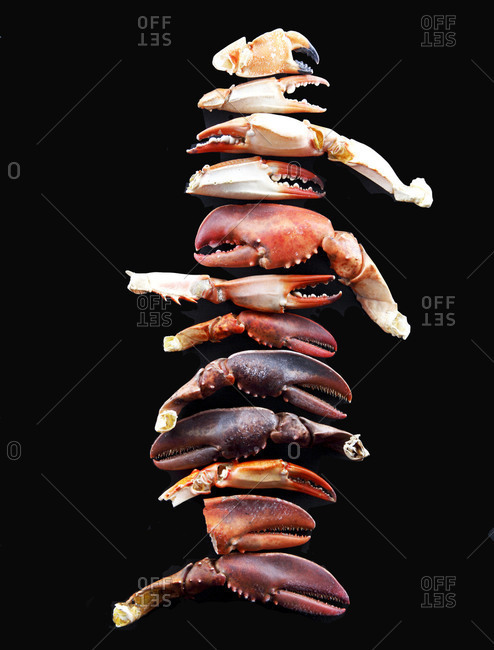 Crab claws arranged in a row