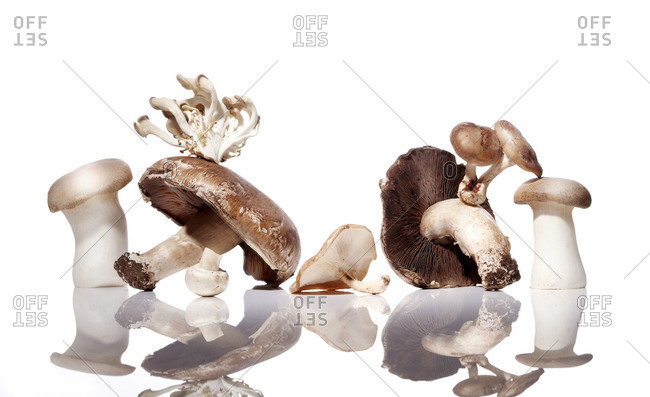 Mushrooms on a shiny surface