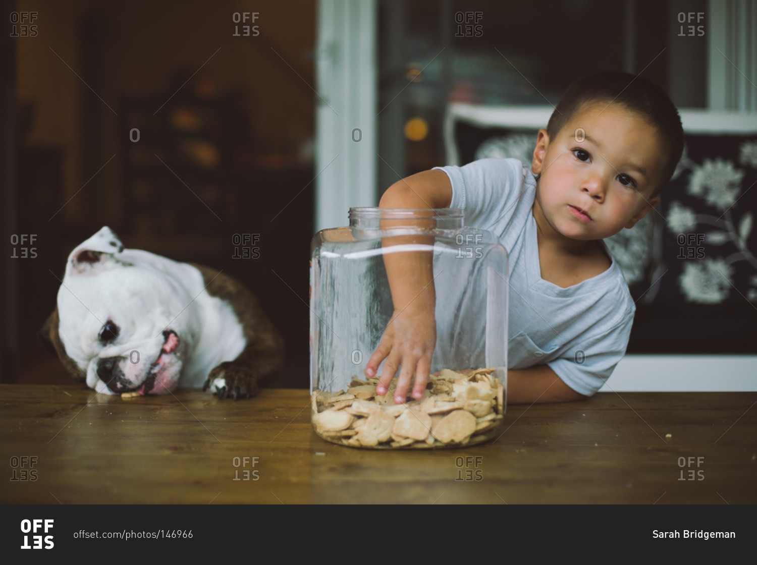 Young boy reaching into a cookie jar stock photo OFFSET
