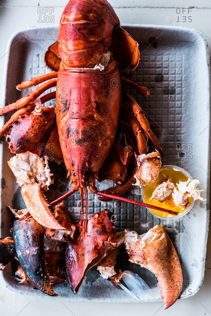 Close up of whole lobster