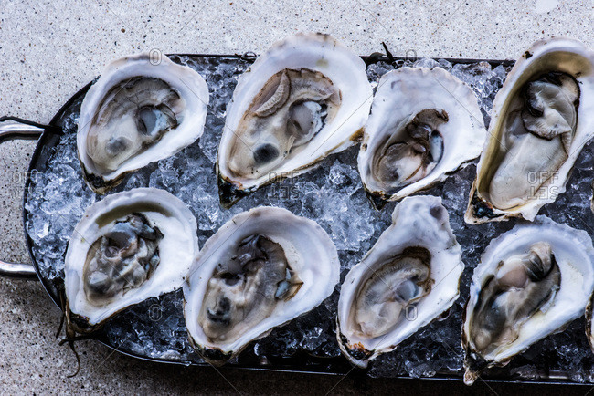 Overhead view of oysters on the half shell