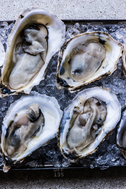 Overhead view of oysters on the half shell