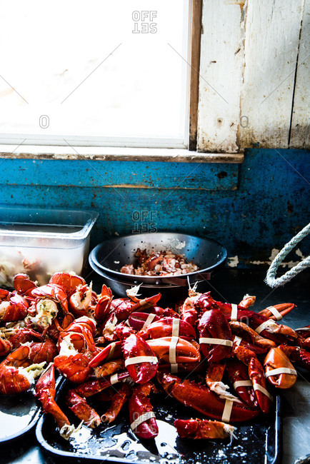 Bunch of fresh lobsters in a kitchen