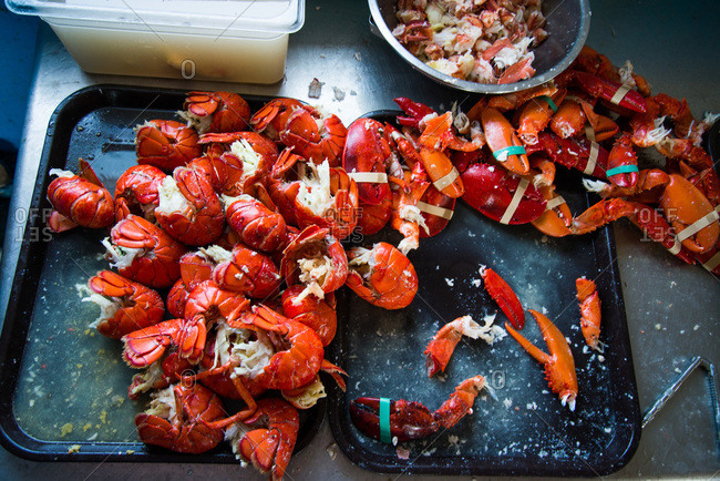 Lobster pieces on a tray