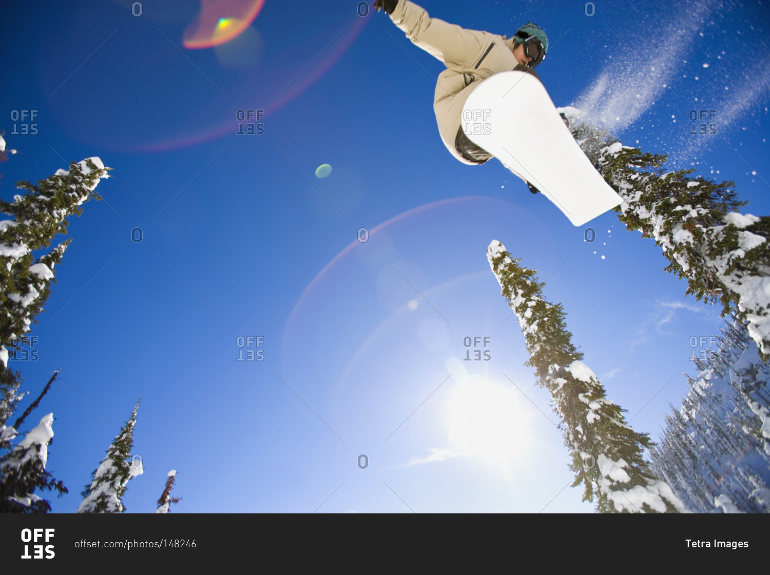 Young man snowboarding in forest