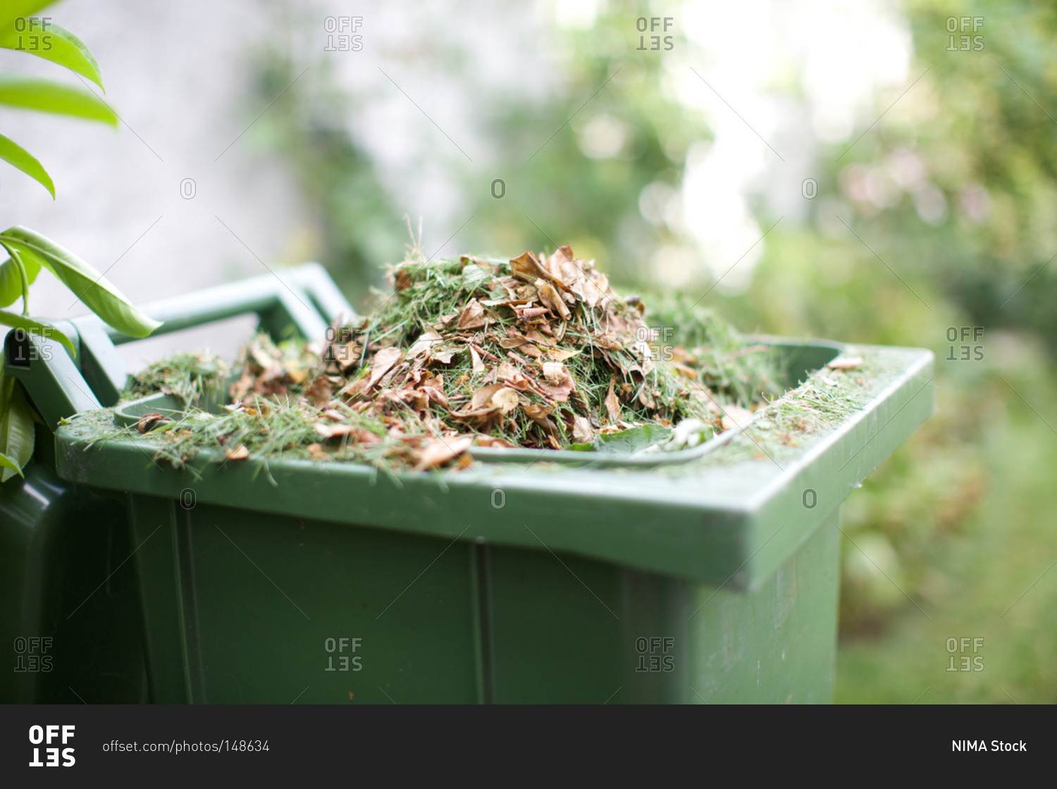 Garden waste in recycle bin stock photo OFFSET