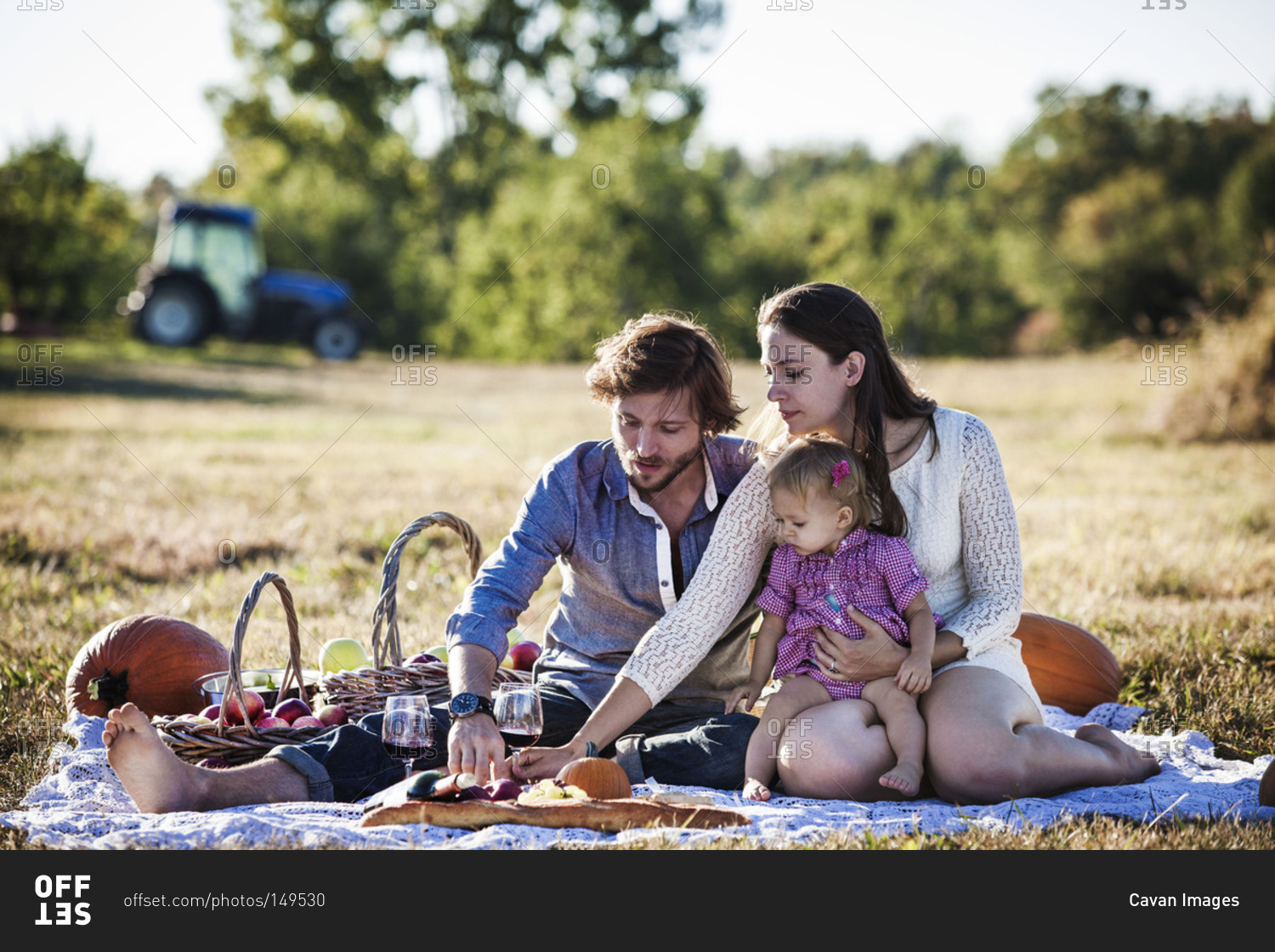 Happy family having picnic on meadow