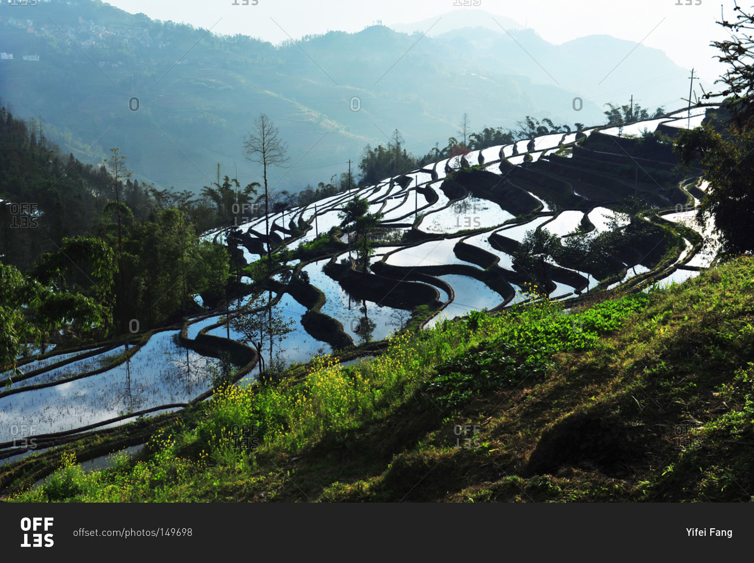 Terraced hillsides, China
