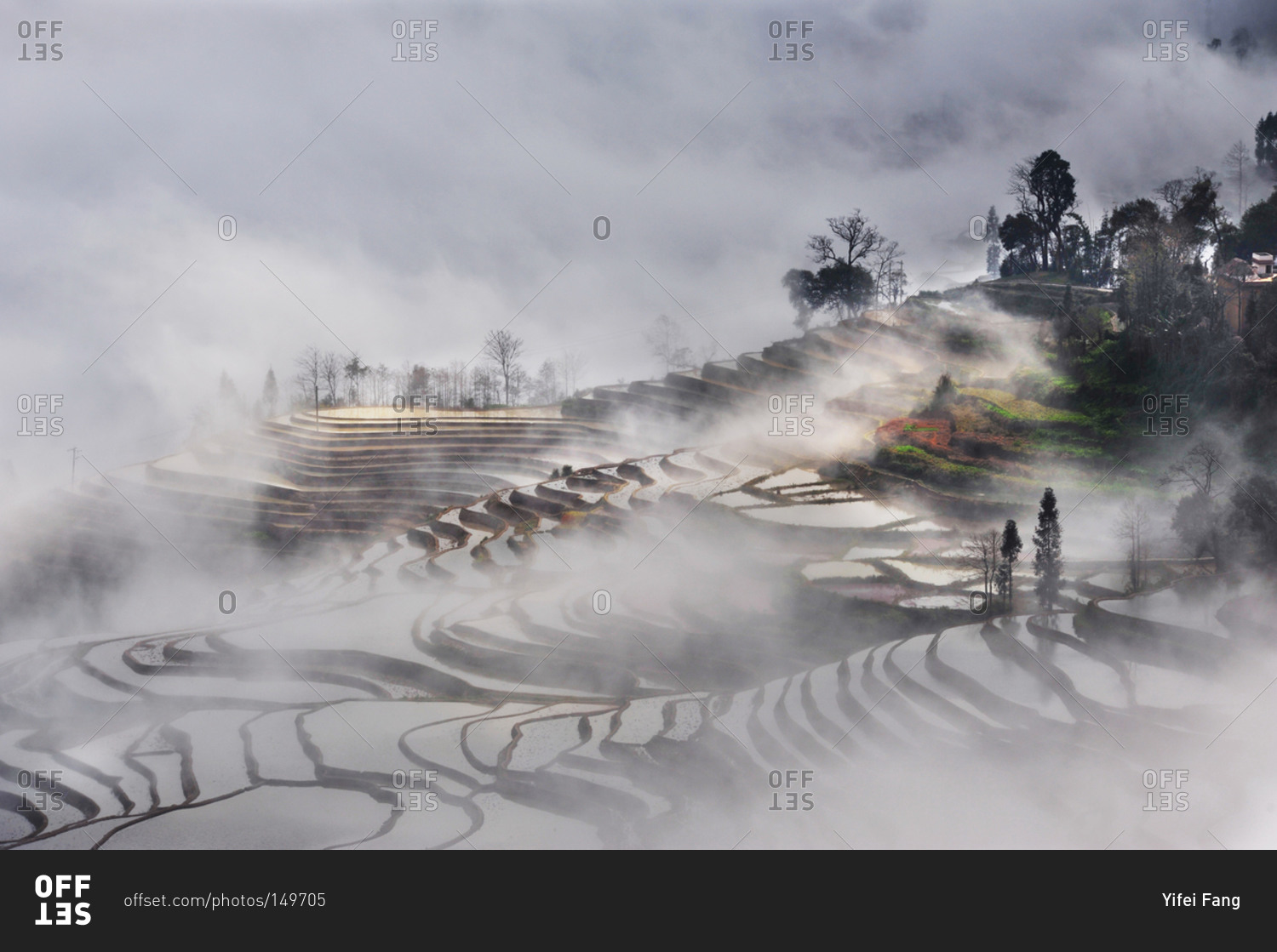 Fog on a terraced hillside, China