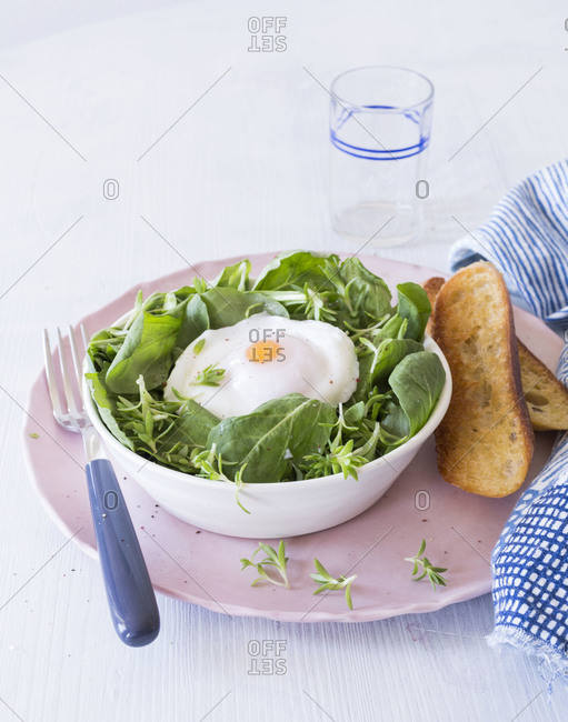 Spring salad served with poached egg