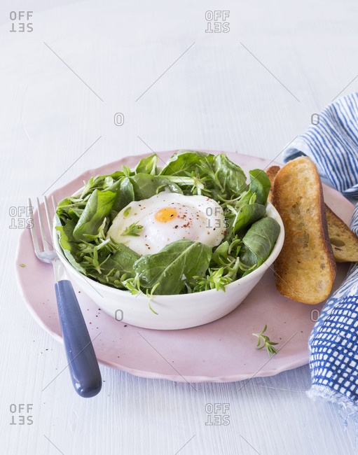 Spring salad and poached egg served with toasts