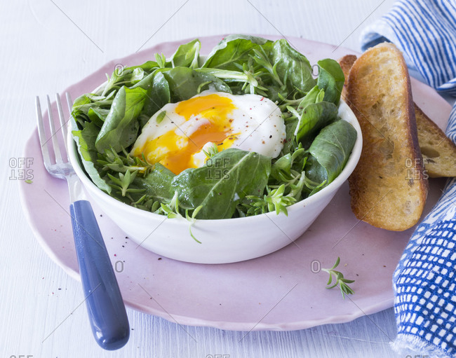 Spring salad with poached egg served in a bowl