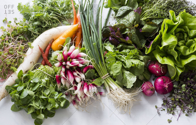 Studio shot of fresh vegetables