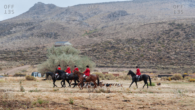 Reno, Nevada, USA - September 28, 2013: Horse riders in traditional red coats bring a pack of hounds in rural Nevada, USA