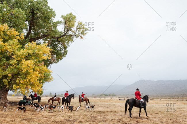 Reno, Nevada, USA - September 28, 2013: Horses and riders  gather under a large oak tree in rural Nevada before the hunt begins, USA