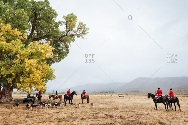 Reno, Nevada, USA - September 28, 2013: A traditional fox and hound hunt with horses and riders  gather under a large oak tree in rural Nevada, USA