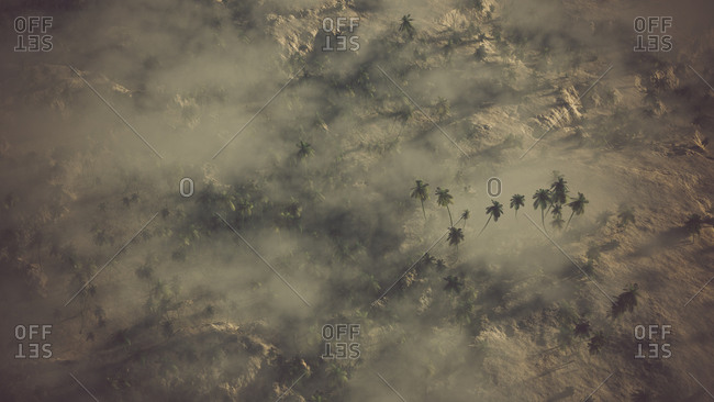 Aerial of rocky landscape with palms in the mist