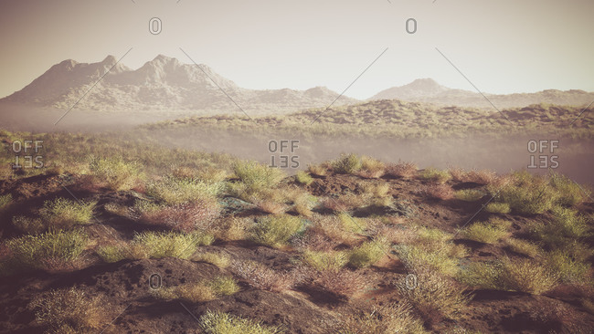 Dry stone desert landscape in the mist