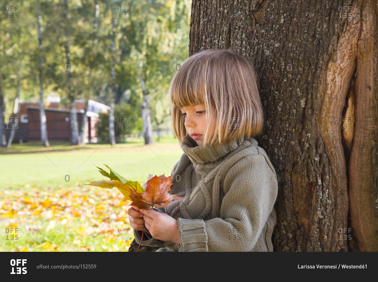 Little girl leaning at tree trunk looking at bunch of autumn leaves in her hands
