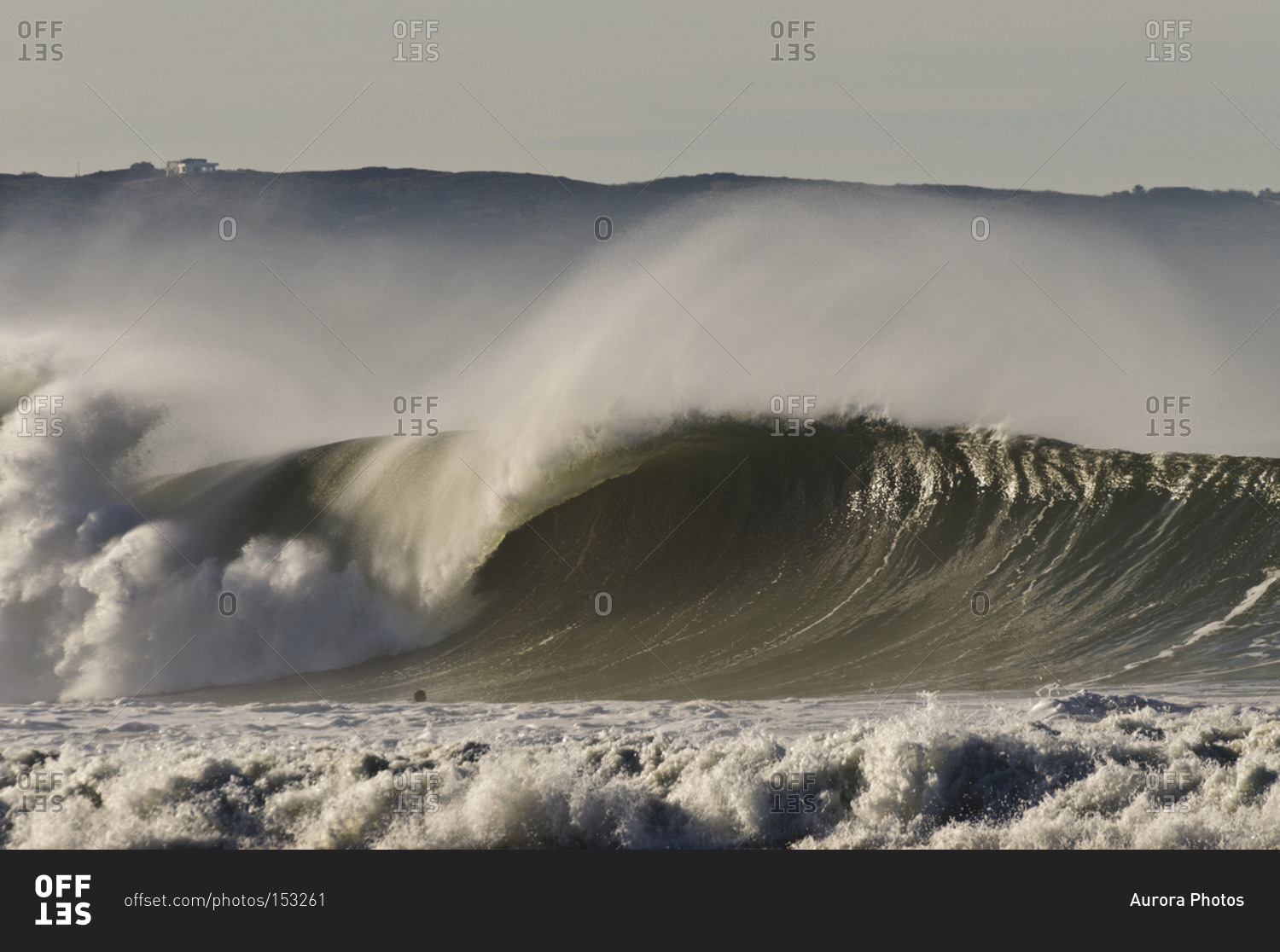 Beautiful and massive wave, breaks at sunrise at Praia do Norte, Nazare, Portugal