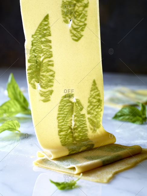 A sheet of pasta dough with basil leaves stock photo OFFSET