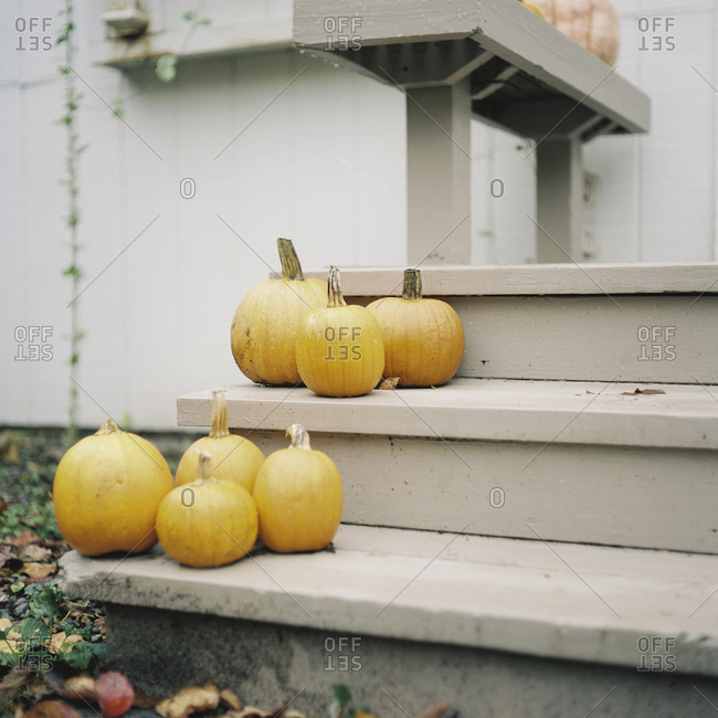 Several pumpkins on porch steps