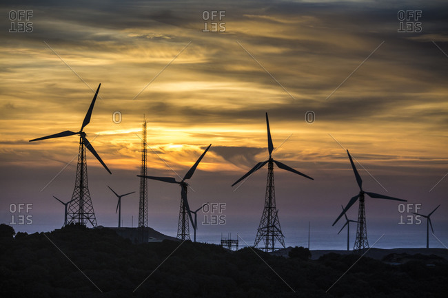 Wind farm in the evening light