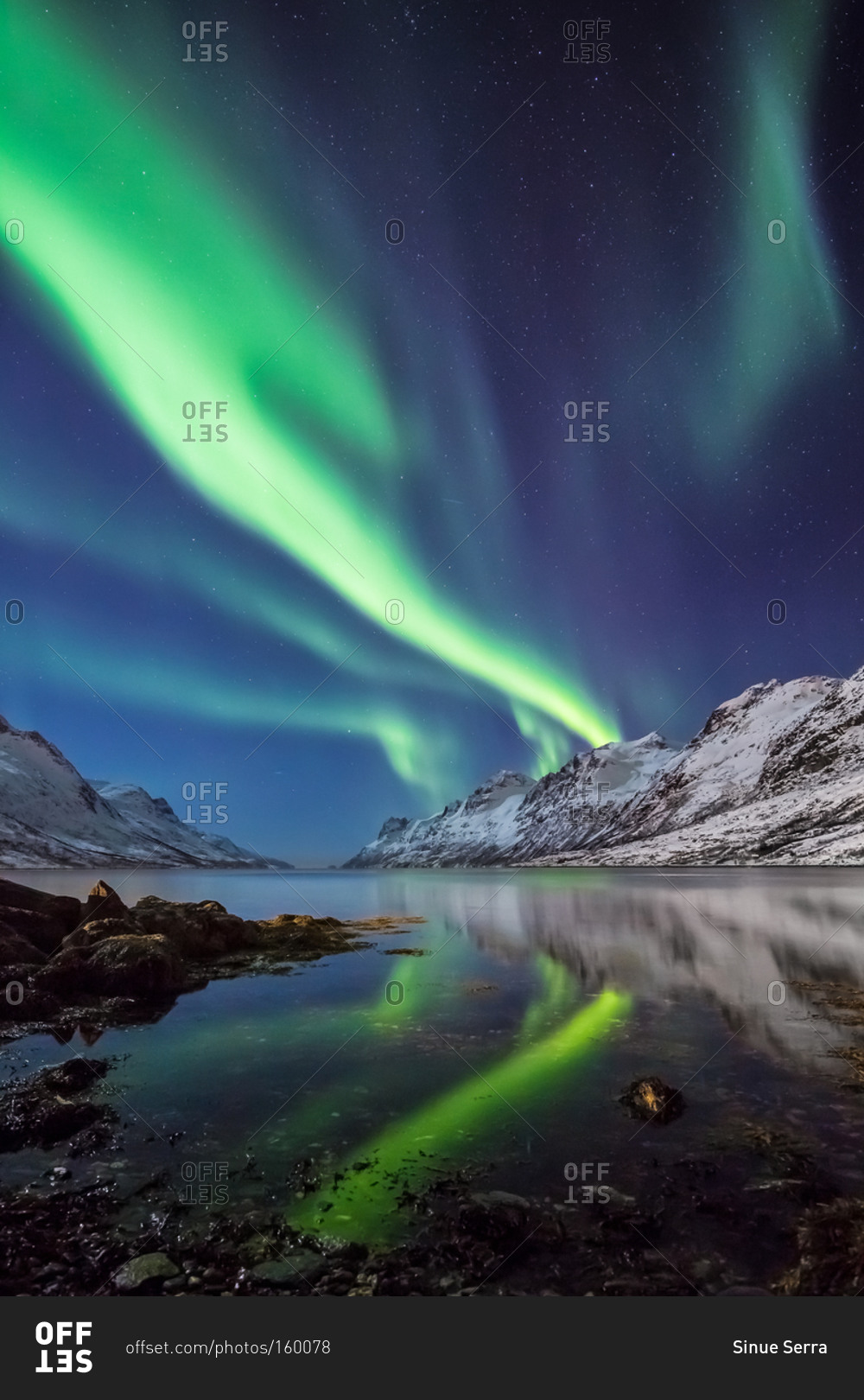 Northern Lights Reflected in the Water of a Norwegian Fjord in a Winter Night