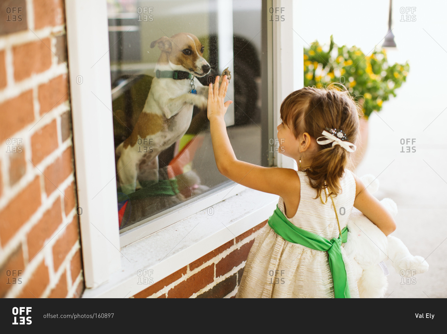 Girl greeting puppy in window