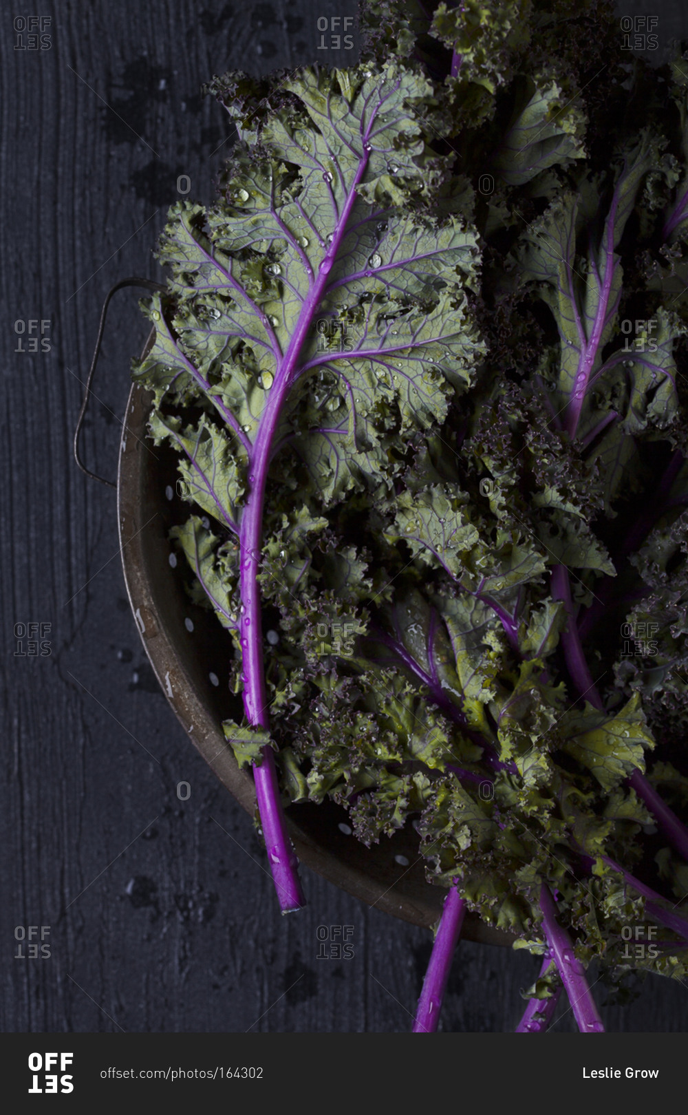 Overhead view of red kale leaves in a colander